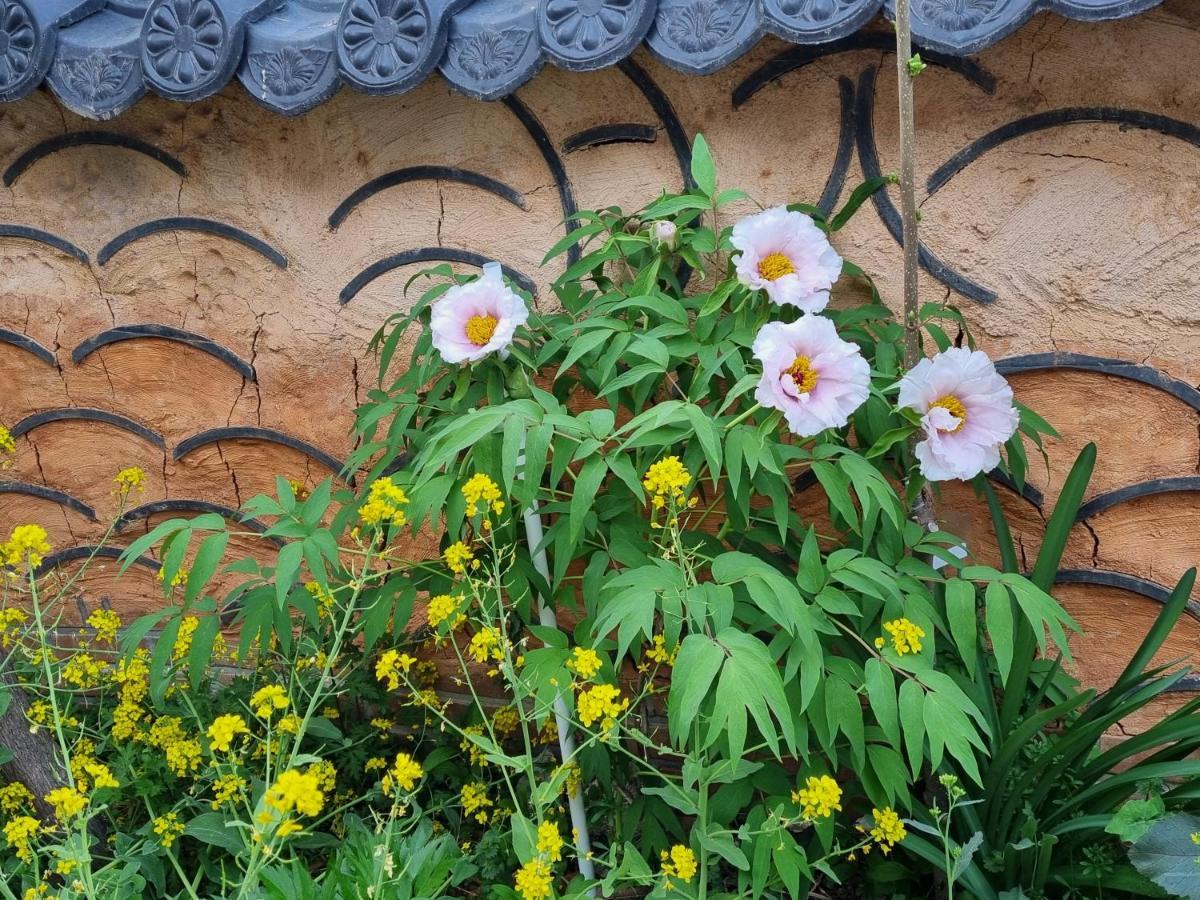 Dasomchae Hanok Stay Gwangju Metropolitan City Exterior photo